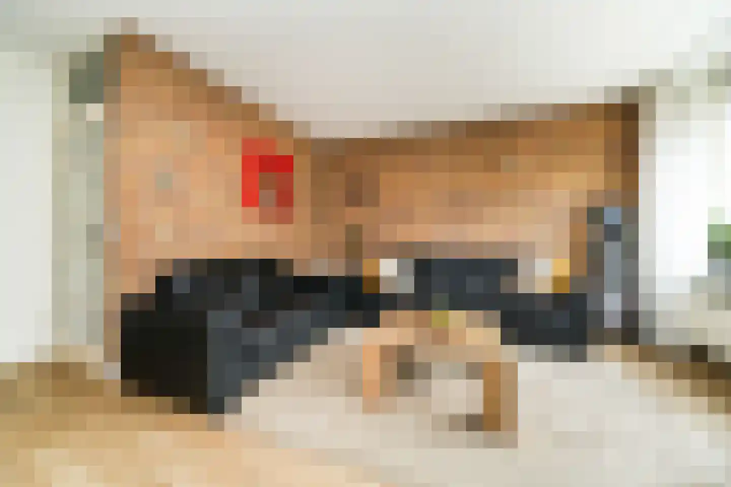 Socratesstraat 5 Rotterdam thumbnail 8