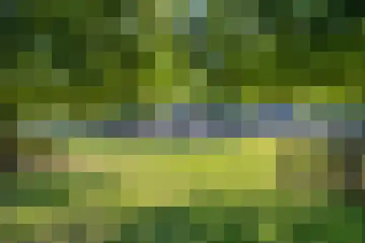 Socratesstraat 54 Apeldoorn thumbnail 32