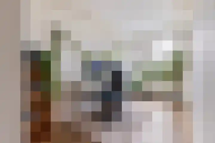 Socratesstraat 56 Apeldoorn thumbnail 16