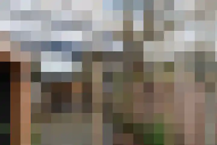 Socratesstraat 56 Apeldoorn thumbnail 33