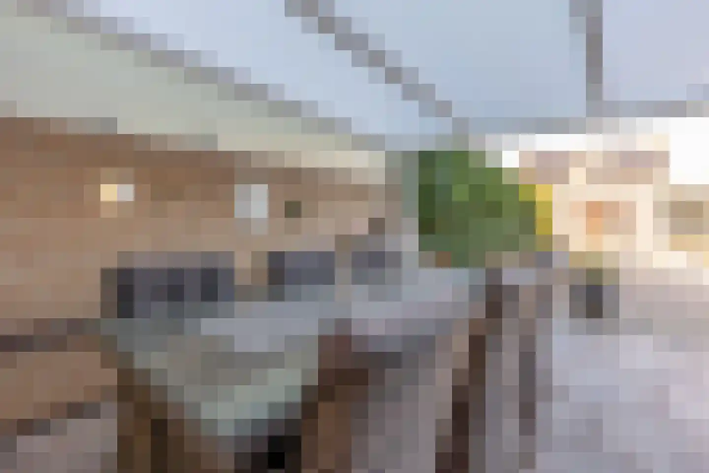 Socratesstraat 6 Brunssum thumbnail 19