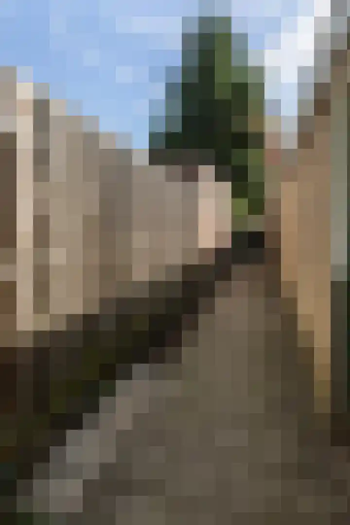 Socratesstraat 62 Apeldoorn thumbnail 10