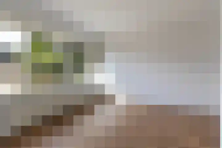 Socratesstraat 62 Apeldoorn thumbnail 5