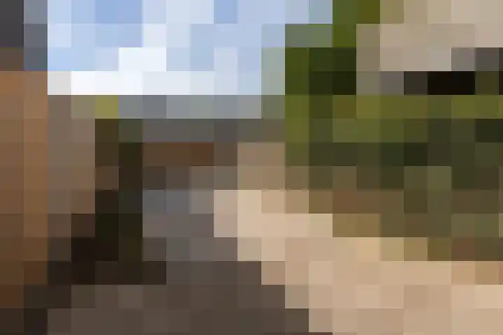 Socratesstraat 62 Apeldoorn thumbnail 7