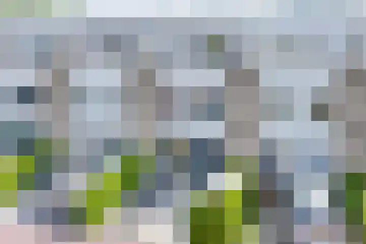 Socratestuin 3 in Capelle aan den IJssel