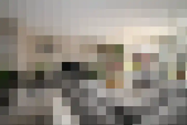 Socratestuin 3 Capelle aan den IJssel thumbnail 10