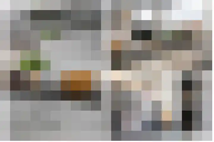 Socratestuin 3 Capelle aan den IJssel thumbnail 15