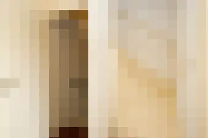 Socratestuin 3 Capelle aan den IJssel thumbnail 16