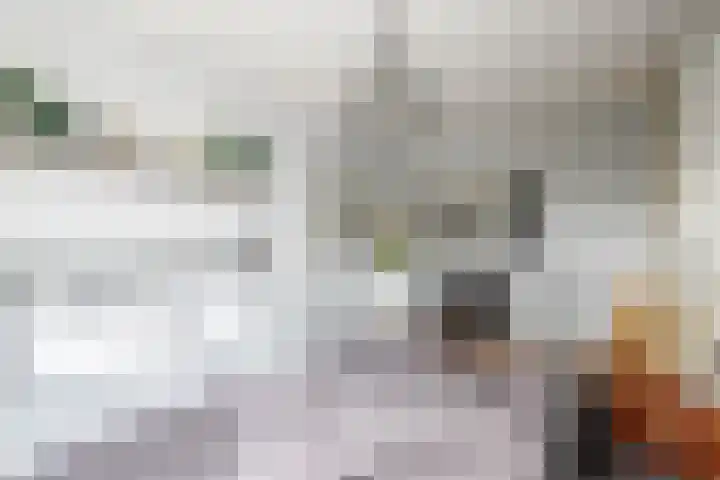 Socratestuin 3 Capelle aan den IJssel thumbnail 17