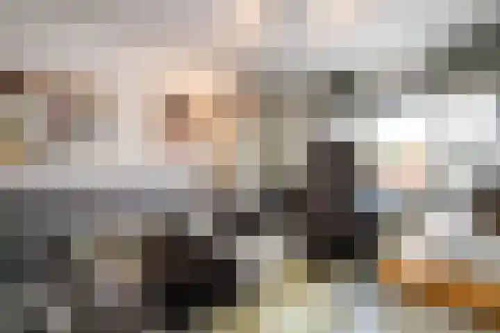 Socratestuin 3 Capelle aan den IJssel thumbnail 19