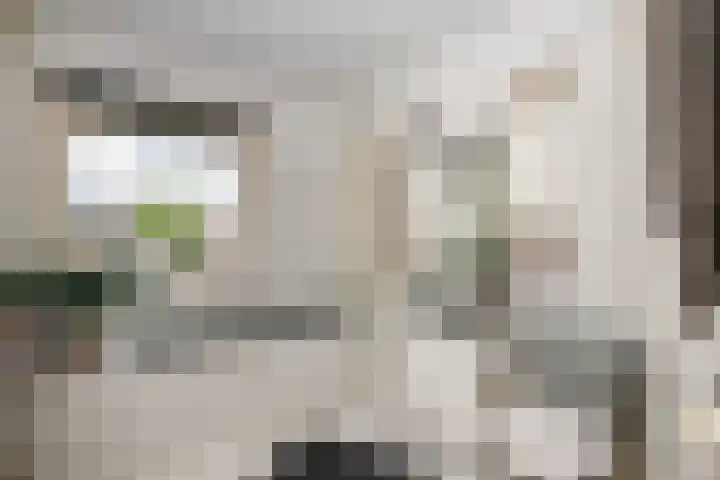 Socratestuin 3 Capelle aan den IJssel thumbnail 20