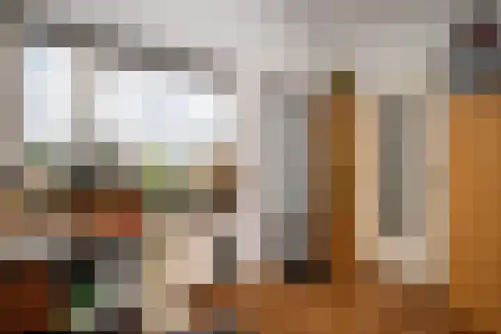 Socratestuin 3 Capelle aan den IJssel thumbnail 23