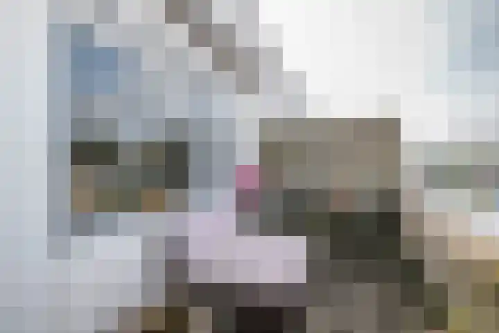 Socratestuin 3 Capelle aan den IJssel thumbnail 24