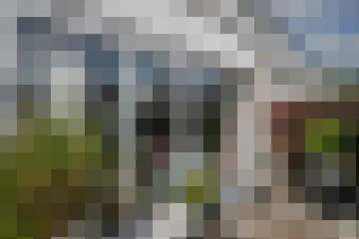 Socratestuin 3 Capelle aan den IJssel thumbnail 28