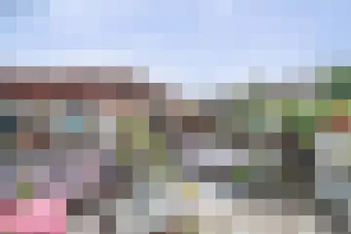 Socratestuin 3 Capelle aan den IJssel thumbnail 29
