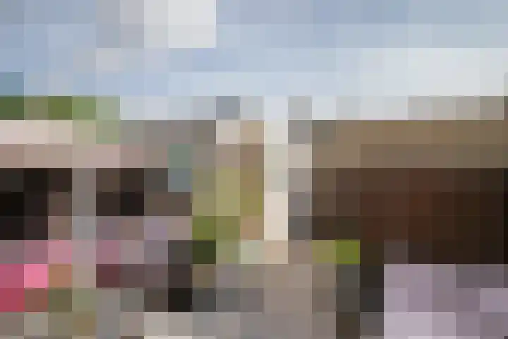 Socratestuin 3 Capelle aan den IJssel thumbnail 30