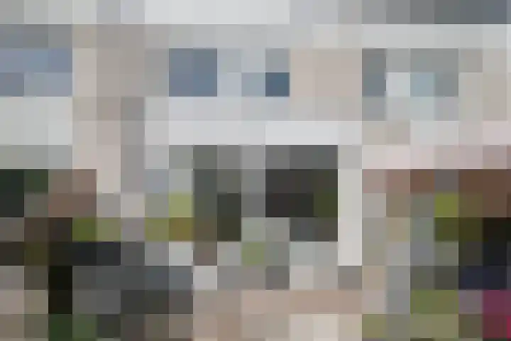 Socratestuin 3 Capelle aan den IJssel thumbnail 31