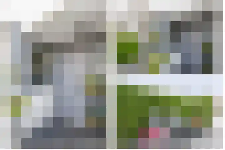 Socratestuin 3 Capelle aan den IJssel thumbnail 36