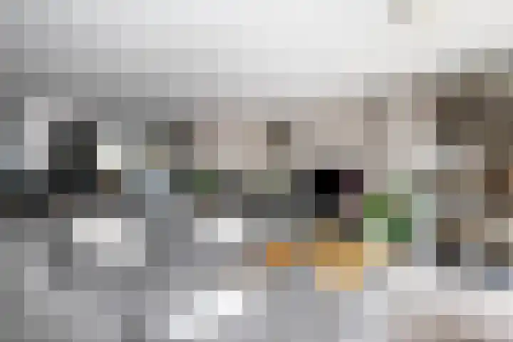 Socratestuin 3 Capelle aan den IJssel thumbnail 4