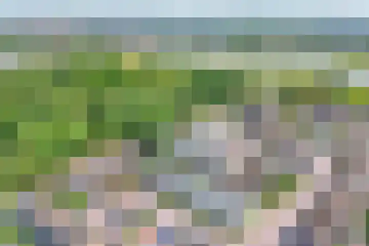 Socratestuin 3 Capelle aan den IJssel thumbnail 42