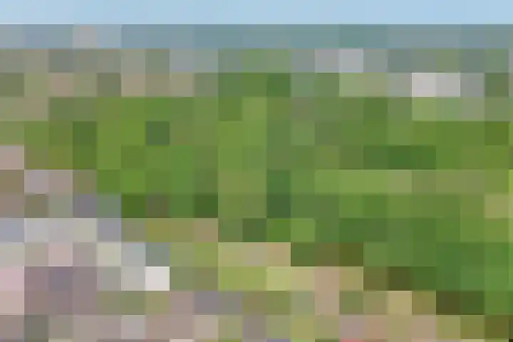 Socratestuin 3 Capelle aan den IJssel thumbnail 43