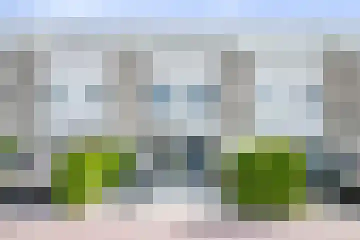 Socratestuin 3 Capelle aan den IJssel thumbnail 5