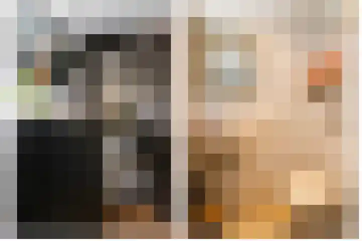 Socratestuin 3 Capelle aan den IJssel thumbnail 7