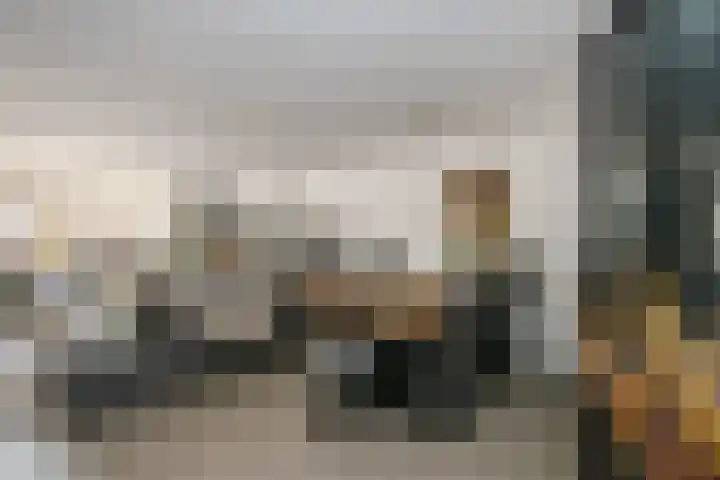 Socratestuin 3 Capelle aan den IJssel thumbnail 8
