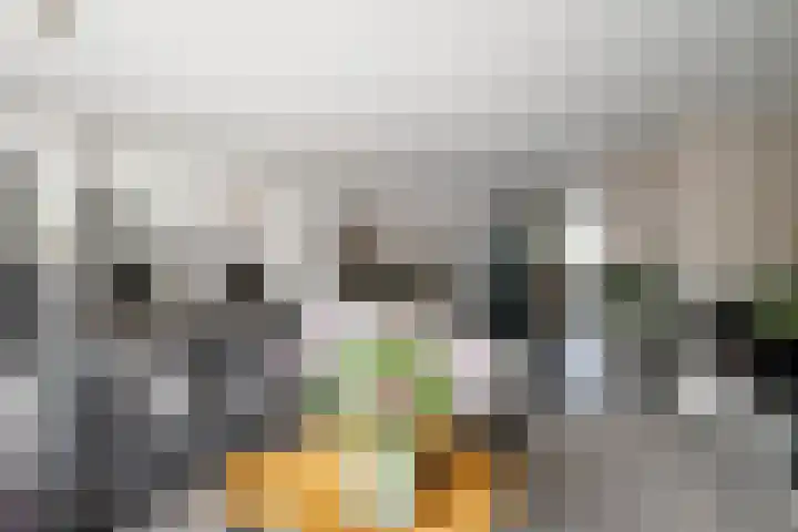 Socratestuin 3 Capelle aan den IJssel thumbnail 9