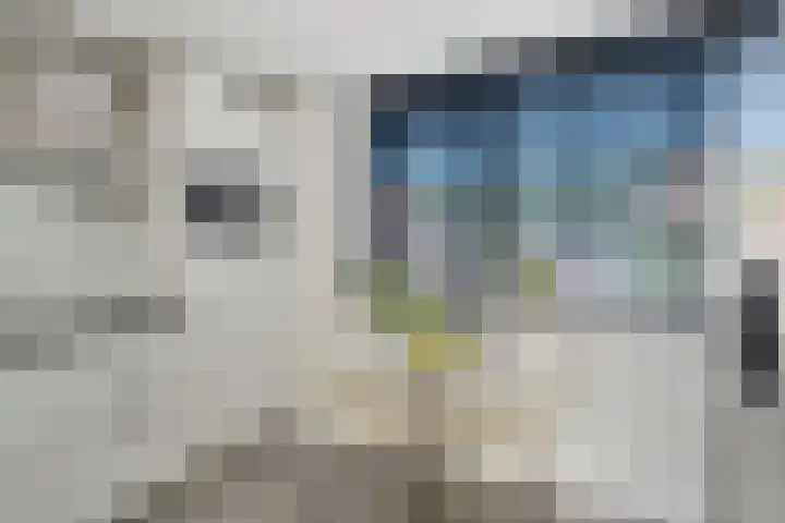 Sodalietdreef 25 Emmen thumbnail 11