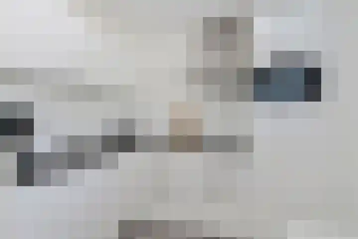 Sodalietdreef 25 Emmen thumbnail 12