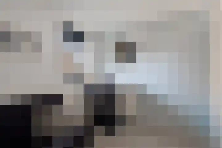 Sodalietdreef 25 Emmen thumbnail 18