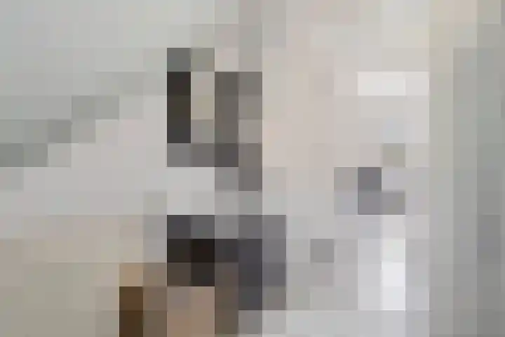 Sodalietdreef 25 Emmen thumbnail 20