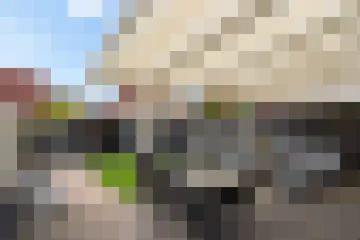 Sodalietdreef 25 Emmen thumbnail 23