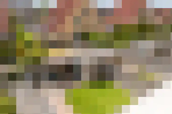 Sodalietdreef 25 Emmen thumbnail 26