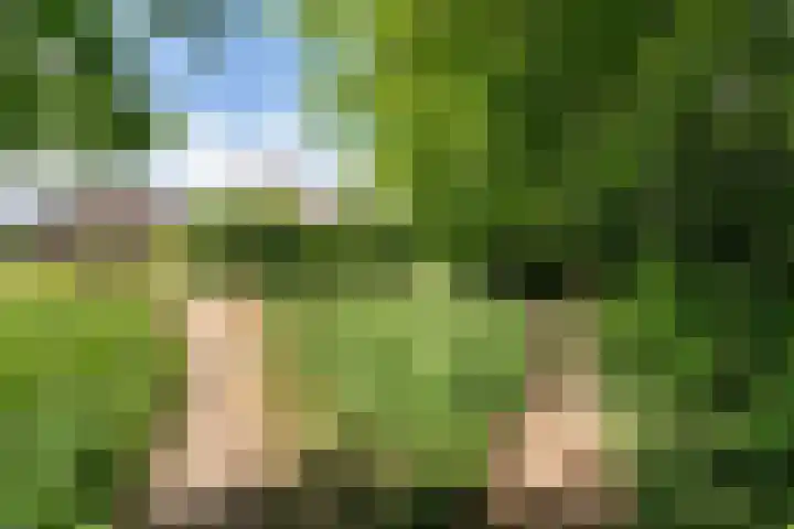 Sodalietdreef 25 Emmen thumbnail 30