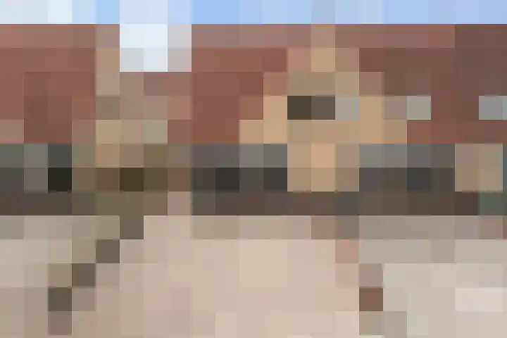 Sodalietdreef 25 Emmen thumbnail 32