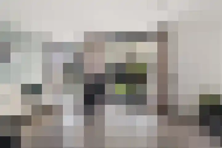 Sodalietdreef 25 Emmen thumbnail 7