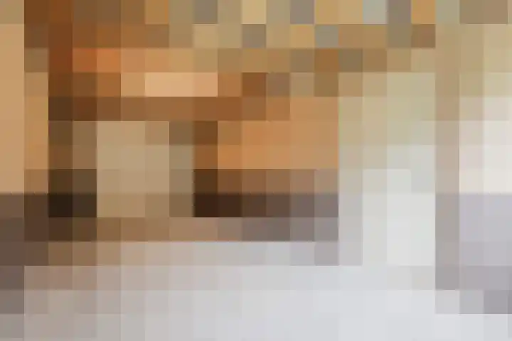 Sodalietdreef 26 Emmen thumbnail 17