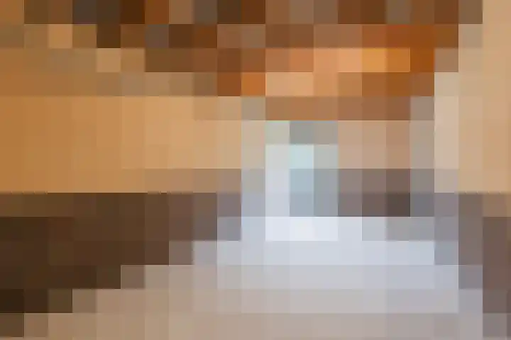 Sodalietdreef 26 Emmen thumbnail 18