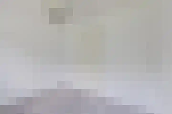 Sodalietdreef 26 Emmen thumbnail 22