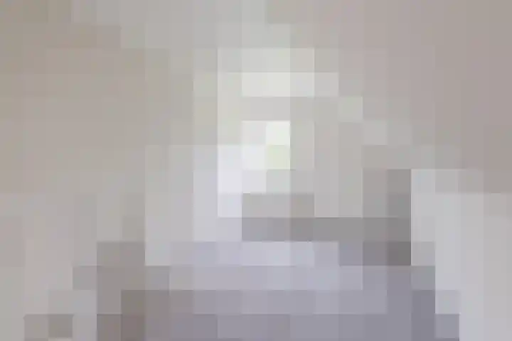 Sodalietdreef 26 Emmen thumbnail 26