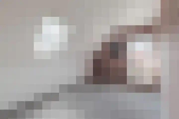 Sodalietdreef 26 Emmen thumbnail 28