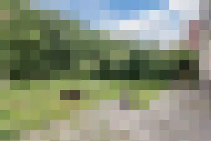 Sodalietdreef 26 Emmen thumbnail 31