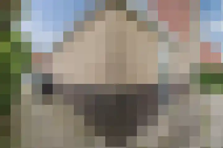 Sodalietdreef 26 Emmen thumbnail 32