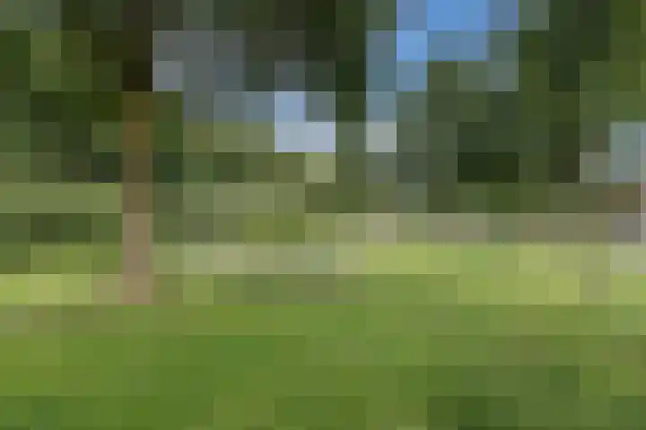 Sodalietdreef 26 Emmen thumbnail 34