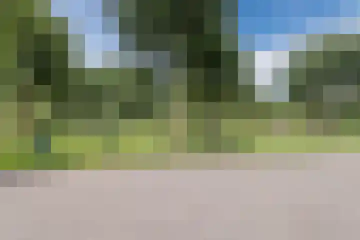 Sodalietdreef 26 Emmen thumbnail 35