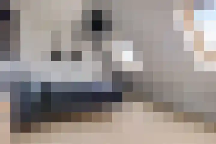 Sodalietdreef 31 Emmen thumbnail 11