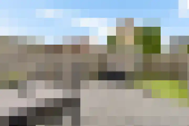 Sodalietdreef 31 Emmen thumbnail 20
