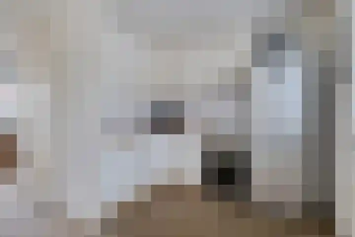 Sodalietdreef 31 Emmen thumbnail 7